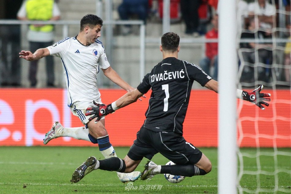 他们表现出 他们表现出